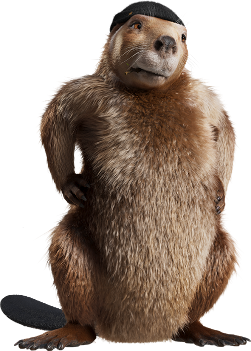 Pressure treated lumber trusted for 40 years YellaWood