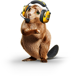 Beaver