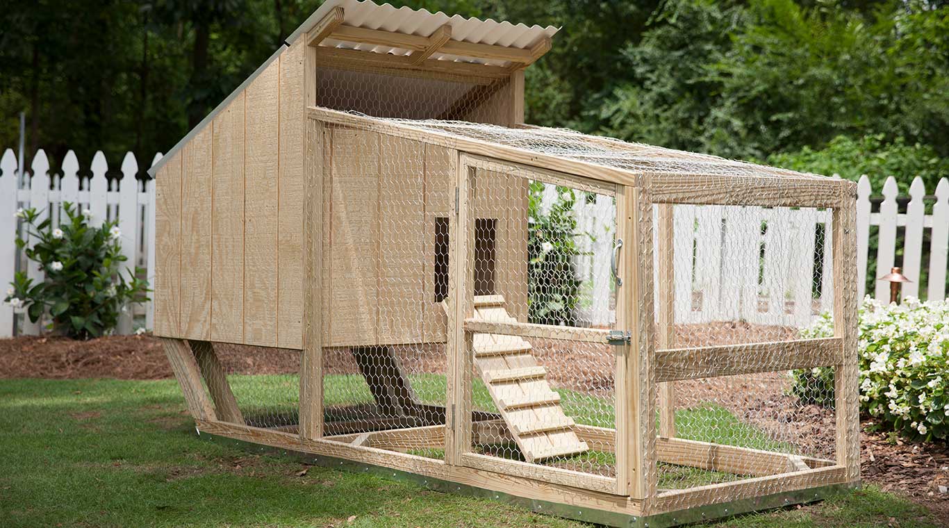 Completed DIY chicken coop.