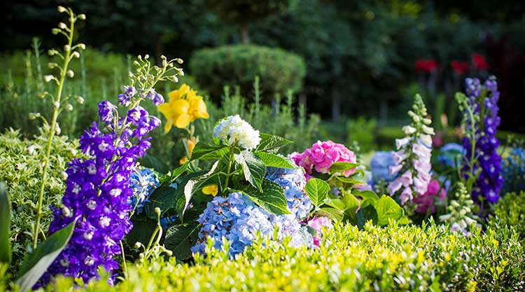 Photo for Potting Bench