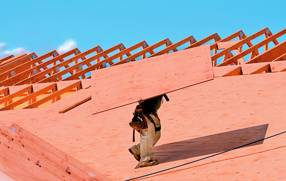 Contractor Installing FlameFreez Fire Rated Plywood