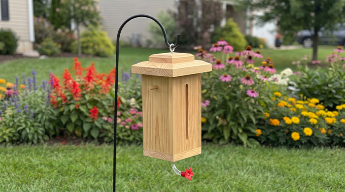 Photo for Hummingbird Feeder
