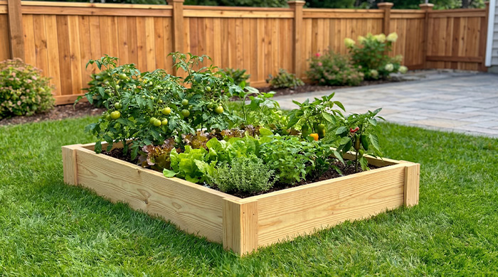 Photo for Raised Garden Bed