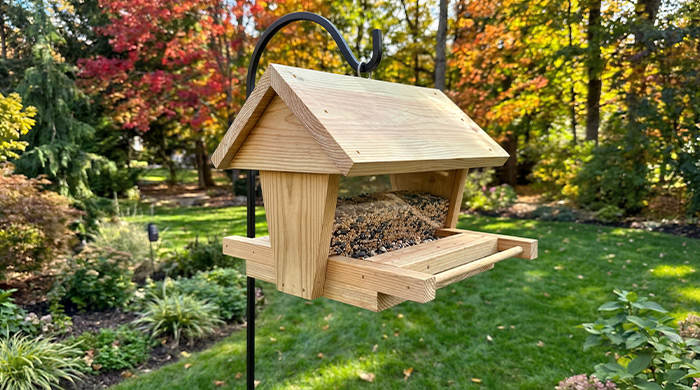 Photo for Bird Feeder